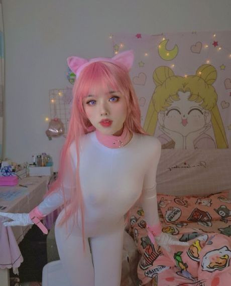 喵请许愿